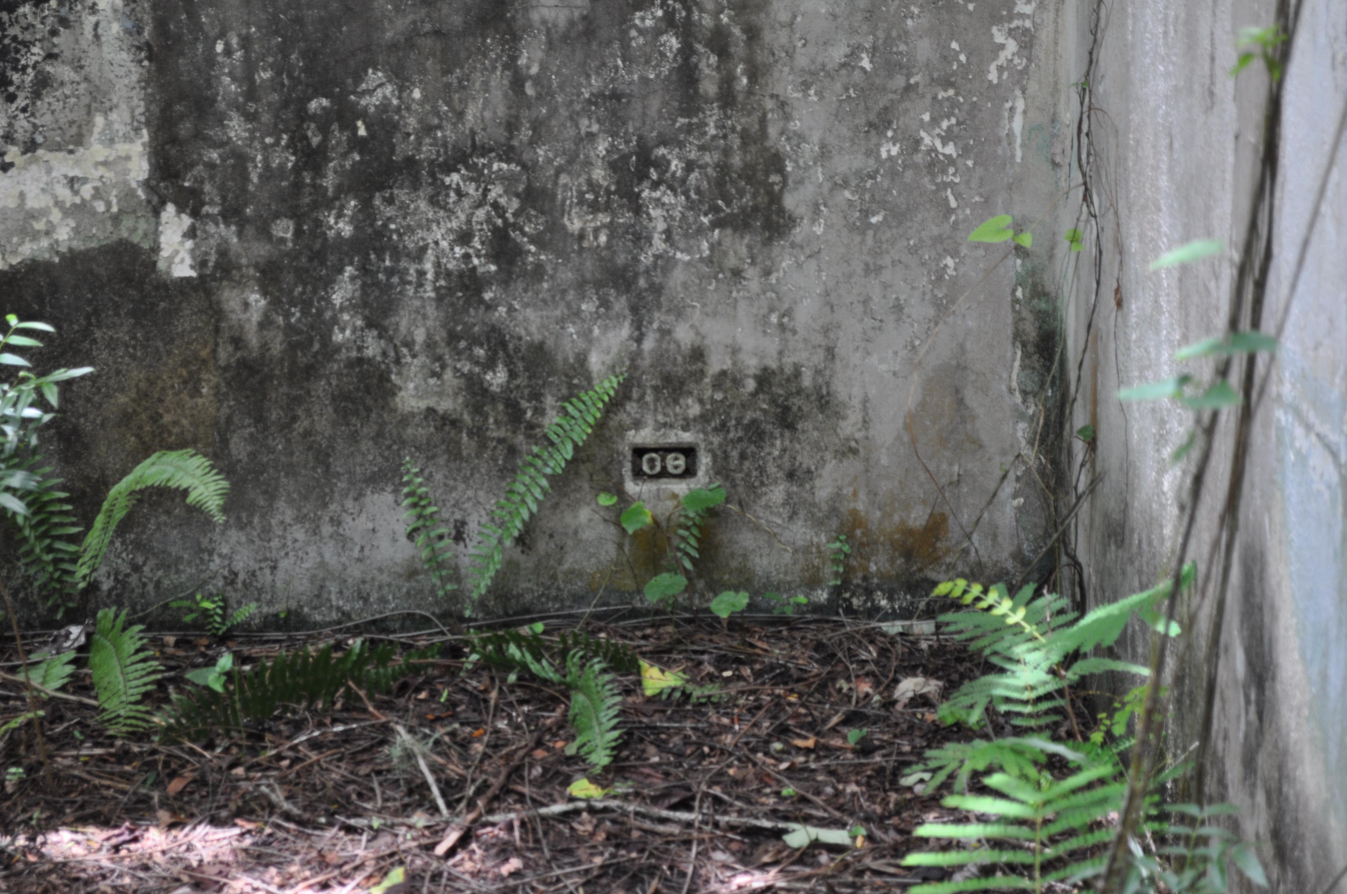 Antigua Lechería y Residencia de la Facultad de la Universidad de Puerto Rico - San Juan (Río Piedras) - 2014 00026
